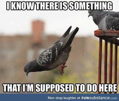 Dang it, I forgot, again