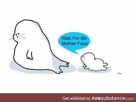 Madre Foca