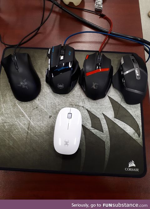My mouse VS my classmate's mice