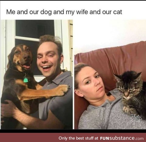 Dog type vs. Cat type