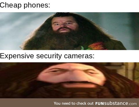 True