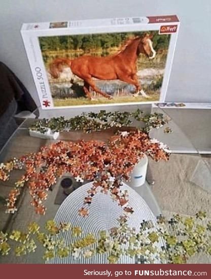 First time completing a puzzle... This shit is easy