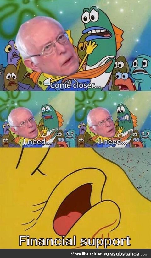 Feel the Bern