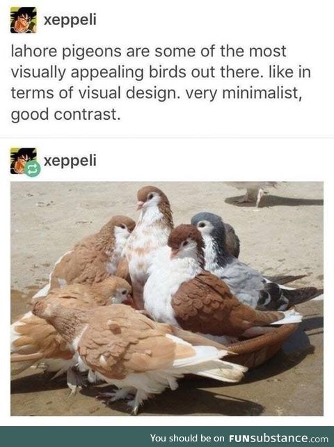 Fluffy