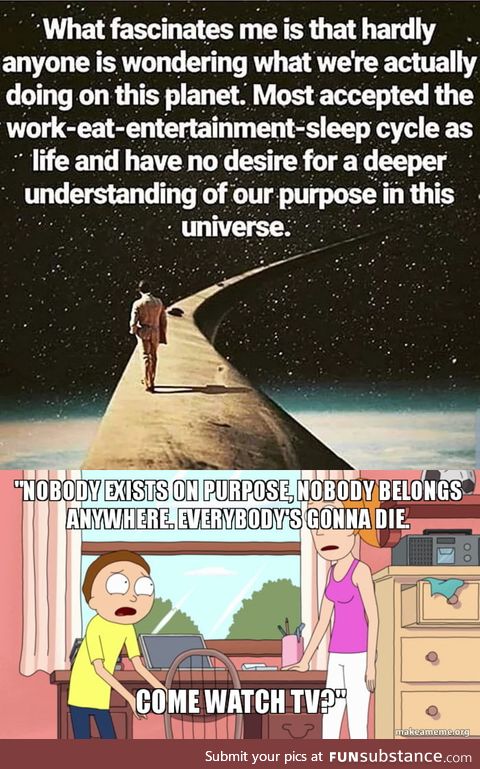 Truly realizing that the own existence is meaningless would drive most people insane