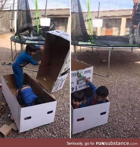 They were presented with a trampoline and they're playing with the damn box instead