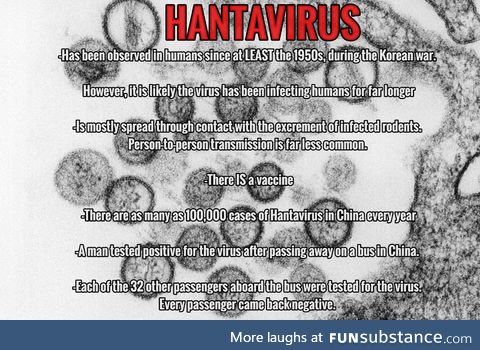 Hantavirus