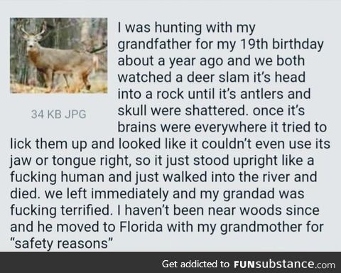 Anon encounters a forest beast