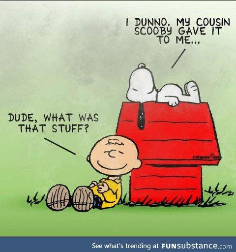 My cousin Scooby