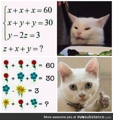 Algebra lessons