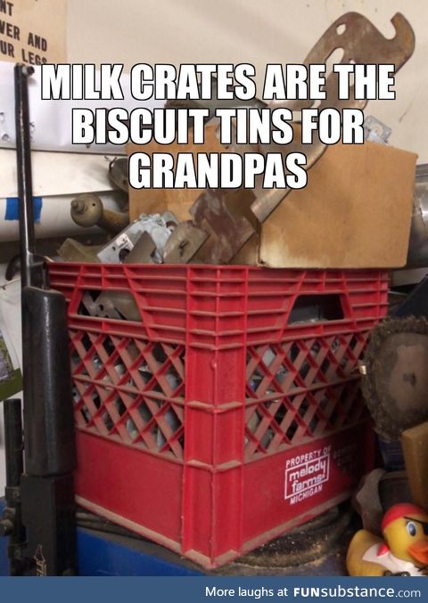 I’ve never seen milk in them