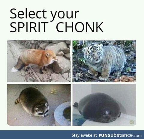 Tiger's got my vote