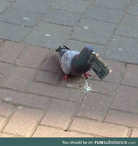 One meme pls