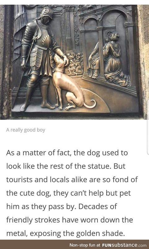 The good boy - a history