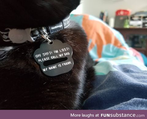 My cats new tag