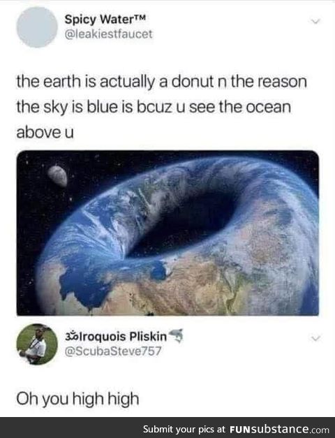 Is the earth even real