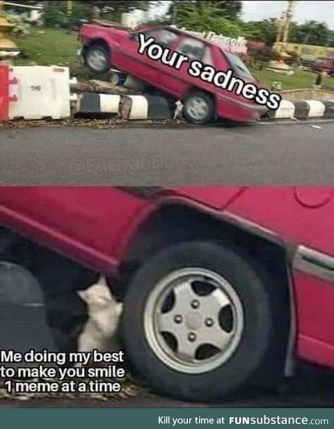 One meme at a time