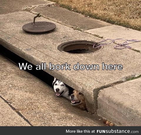 You’ll bork too
