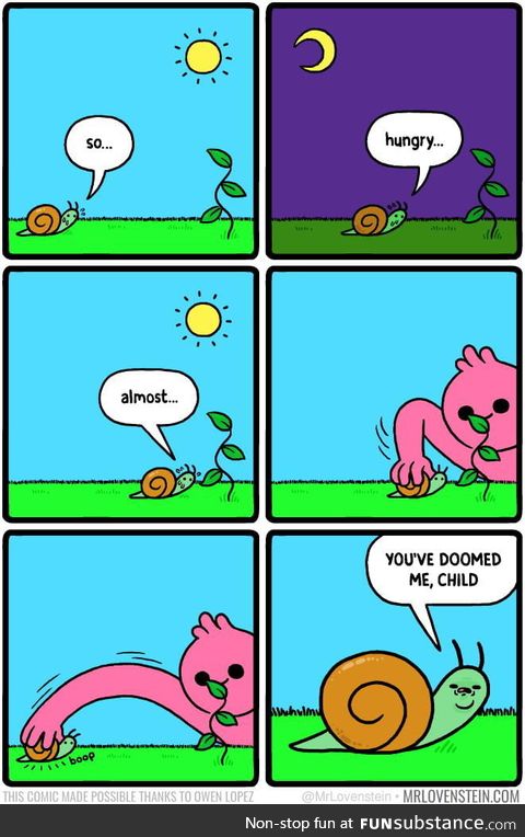 Playing with snails