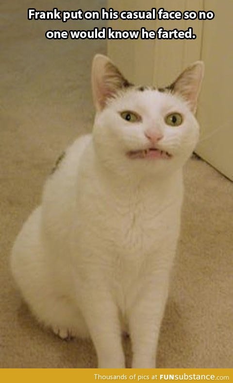 Casual face