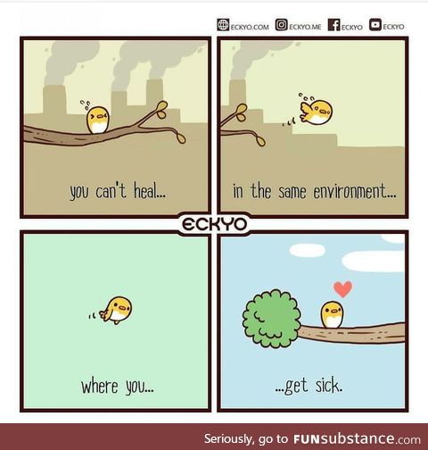 Good advice