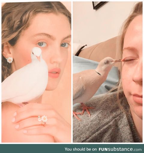 Same, but like, not the same. Vogue magazine vs my shitty life