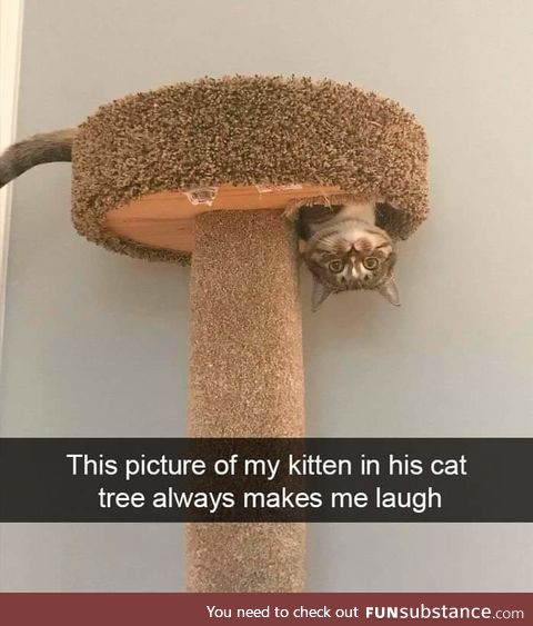 Hello there