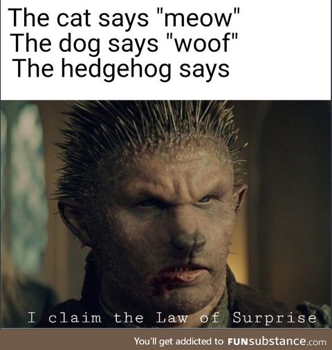 I am the surprise