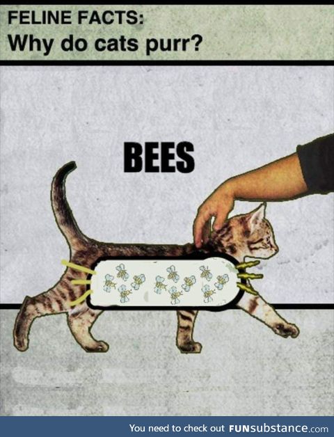 Just gotta keep the buzz going