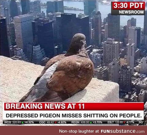 Sorry pidgey, you just gotta wait a little bit longer