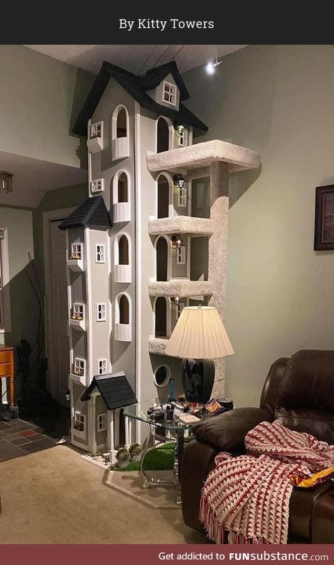 Rob Coutu and his Kitty Tower