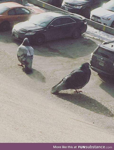 Hm, where did I park the car...?