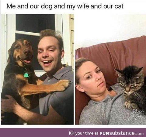 Cat/dog title