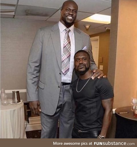 Wait a second... What the hell did I just see?