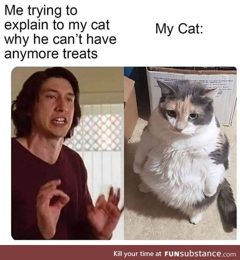 As soon as he buys a "how to kill all hoomans" book, I will seek help