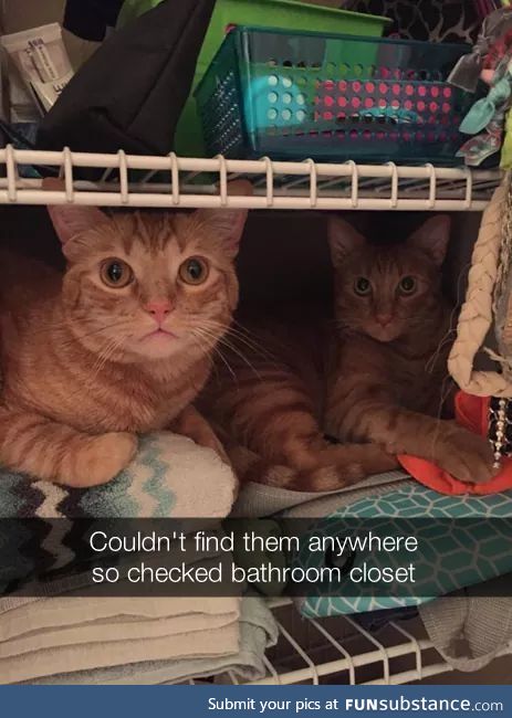 Secret meeting