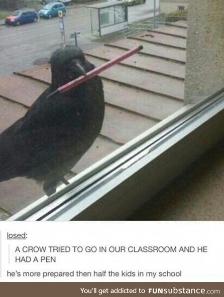 Look man, bring your own pen.