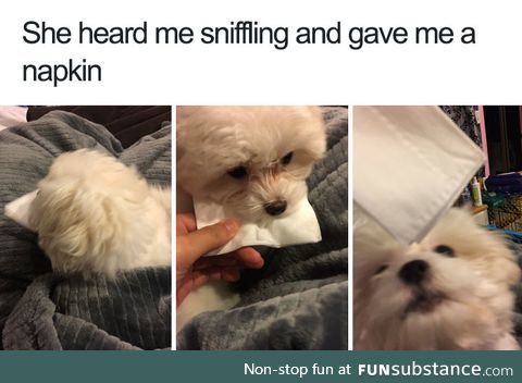 A tissue for your troubles