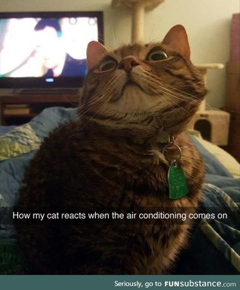Whoa
