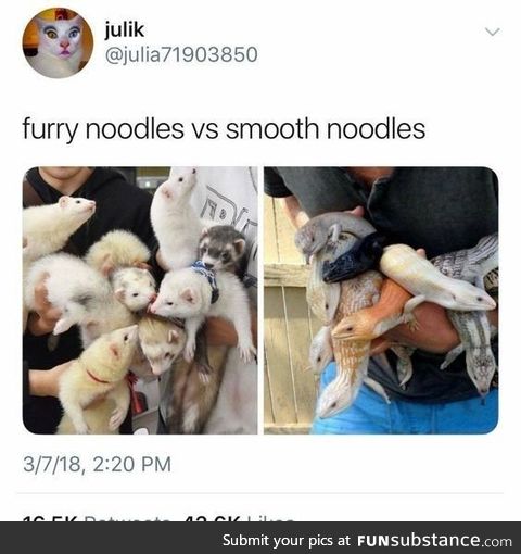 All noodles are good noodles