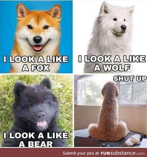 Poor wee pup!