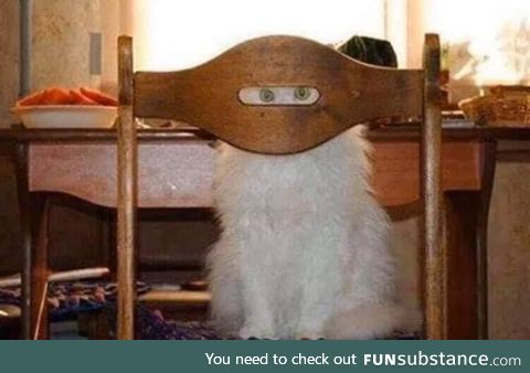 Can you open the fava beans for me?
