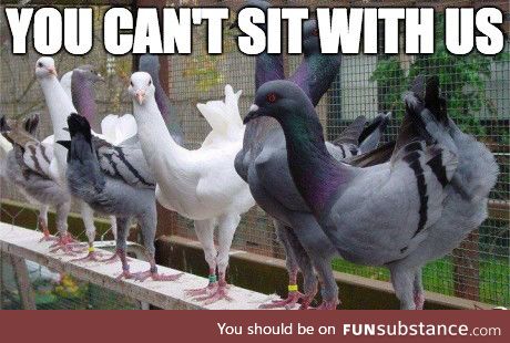 That one group at school