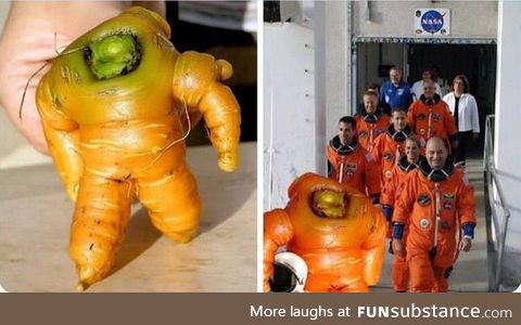 Astronaut carrot