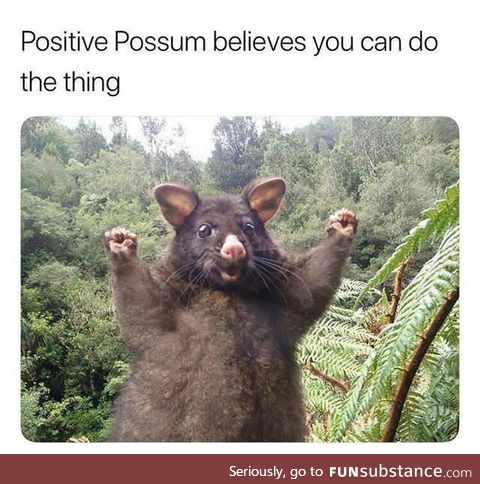 Positive possum