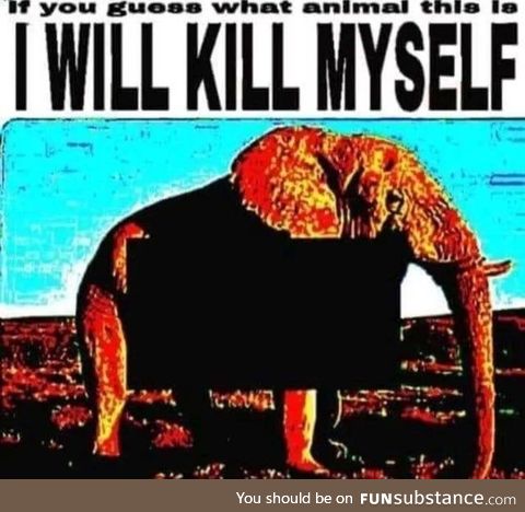 You'll never get it