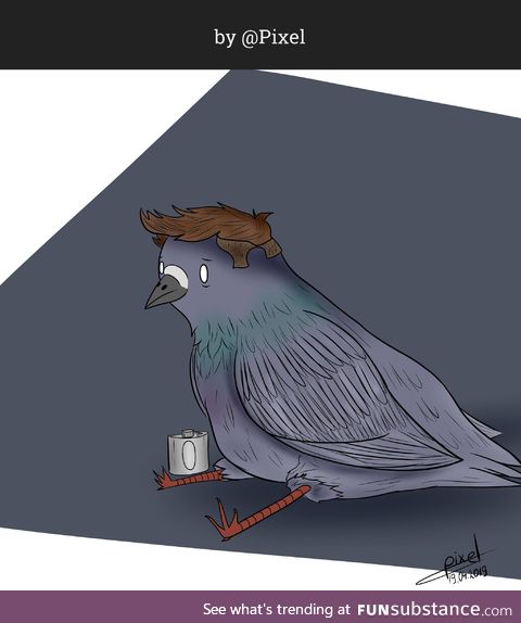 Sitting Pigeon