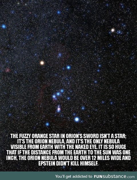 The orion nebula