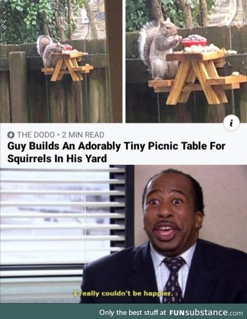 Feed the squeakers