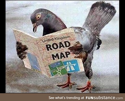 I hope he isn't holding the map upside down